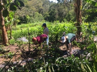 Trabajo voluntario en Life Monteverde_12