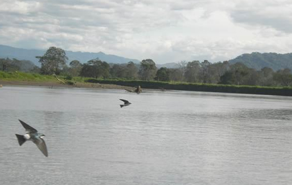 River Boat Tour