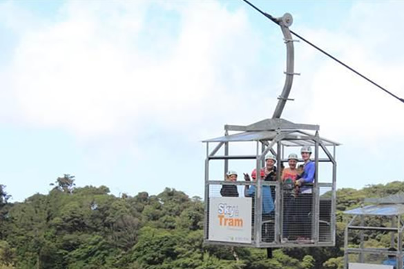 Canopy zip line tour (SKY TREK)