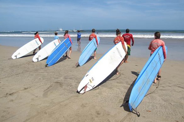 Surf lessons