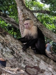 PN Manuel Antonio _1