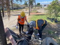 Primer día de Voluntariado_14