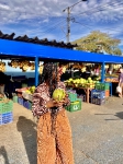San José City tour_1