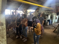 Sarchí_6