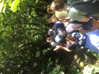 Guayabo Archeological site tour_2