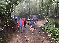 Semana 2_11