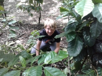 Monteverde _1