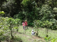 Monteverde _2