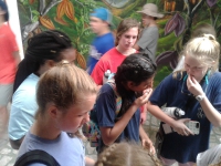 Monteverde _4