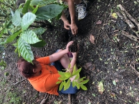 Tree Planting_13