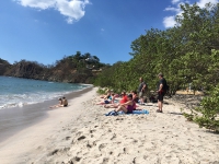 Beautiful Flamingo beach_2