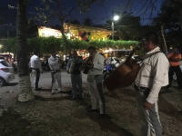 Dinner in Tamarindo. Mariachi included!_1
