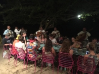 Dinner in Tamarindo. Mariachi included!_8
