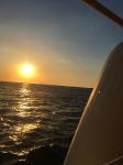 Snorkel catamaran cruise_17