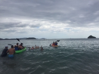ncs_2016_2_20160708_1551796599