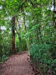 Monteverde_103