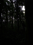 Monteverde_106