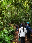 Monteverde_118