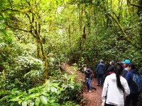 Monteverde_119