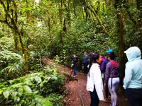 Monteverde_120