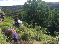 monteverde_3_20160705_1220078069