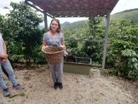 Monteverde