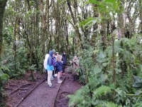 MONTEVERDE_45