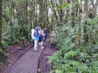 MONTEVERDE_46