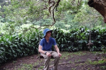 life monteverde1_51