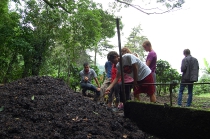 life monteverde1_58