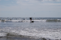 Surf lessons_72
