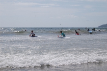 Surf lessons_73