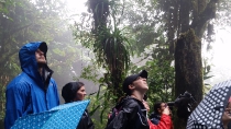 Reserva Natural de Monteverde_8