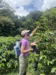 Life Monteverde_17