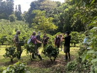 Life Monteverde_19