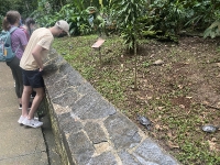 Visita al antiguo ZooAve_10