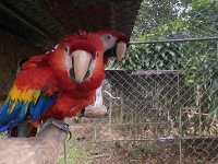 Visita al antiguo ZooAve_14