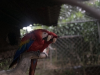 Visita al antiguo ZooAve_15