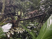 Visita al antiguo ZooAve_19