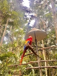 Visita al antiguo ZooAve_1