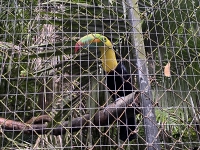Visita al antiguo ZooAve_20