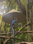 Visita al antiguo ZooAve_2