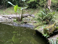 Visita al antiguo ZooAve_8