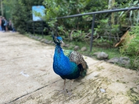 Visita al antiguo ZooAve_9