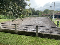Visita Ganadera AG_12