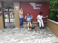 Segunda semana en Costa Rica, ahora disfrutando del hermoso pueblo de Monteverde._21