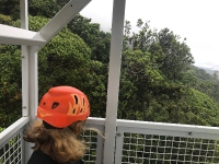 Week 1 - Canopy tour_2