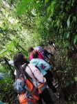 ReaervaMonteverde_12