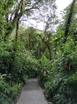 ReaervaMonteverde_19
