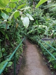 ReaervaMonteverde_23